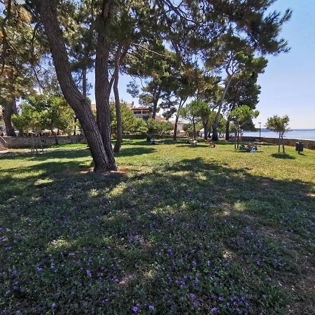Nina Deluxe Superior 5 Star Apartment, Your Piece Of Heaven By The Sea & Park Novigrad  Exterior photo
